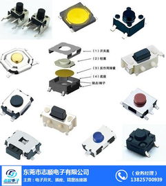 东莞市志顺电子 图 硅胶轻触开关批发 珠海轻触开关