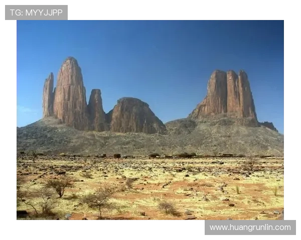 马里比赛亮点 马里比赛亮点